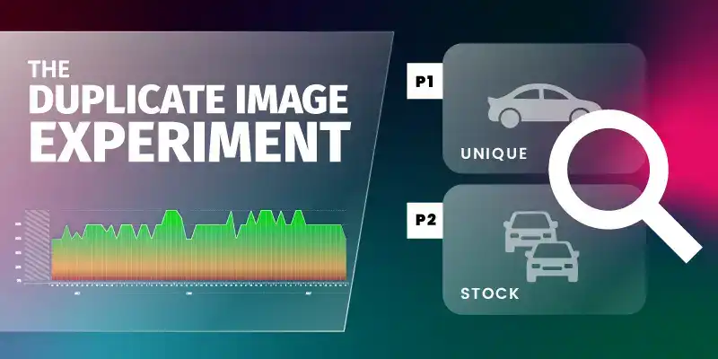 Long Term Duplicate Image Experiment