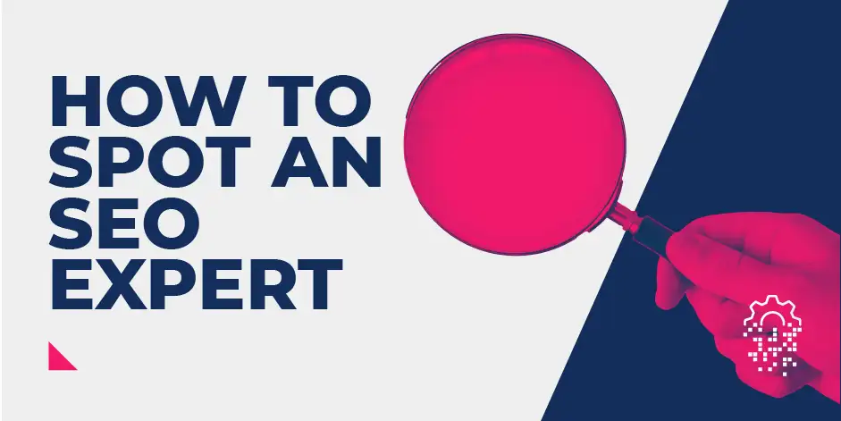 How To Spot an SEO Expert