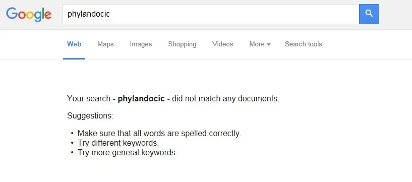 Google No Search Results Found