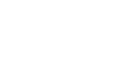 Auto Plus
