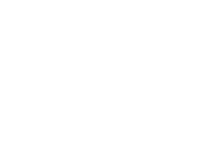 Driving Instructors Association