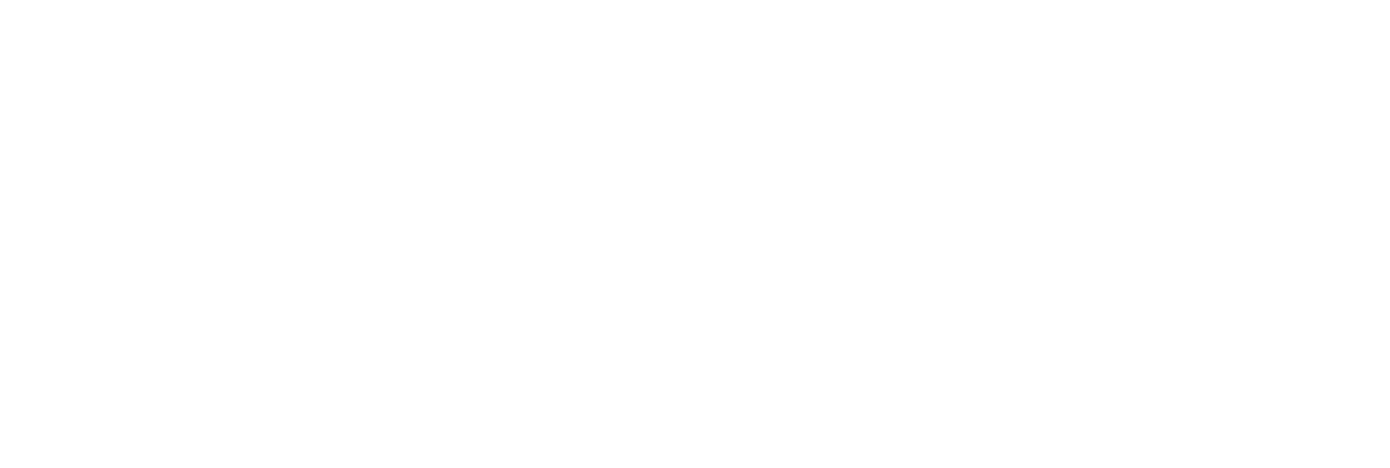 Family Traveller