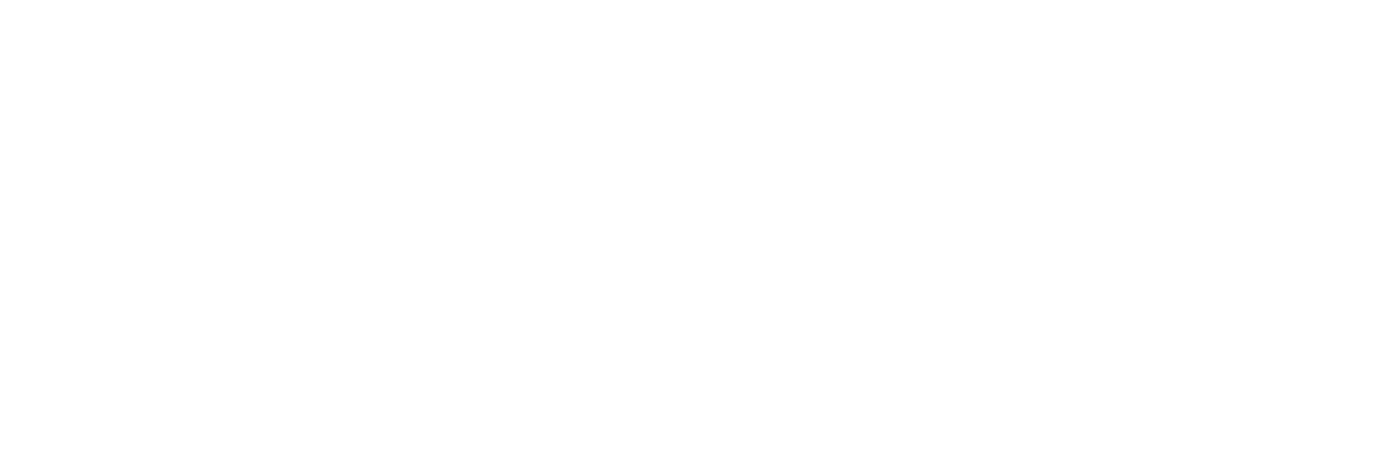 The Sun
