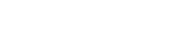 The Sun