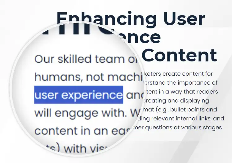 Zoomed in on words 'user experience' on a page.
