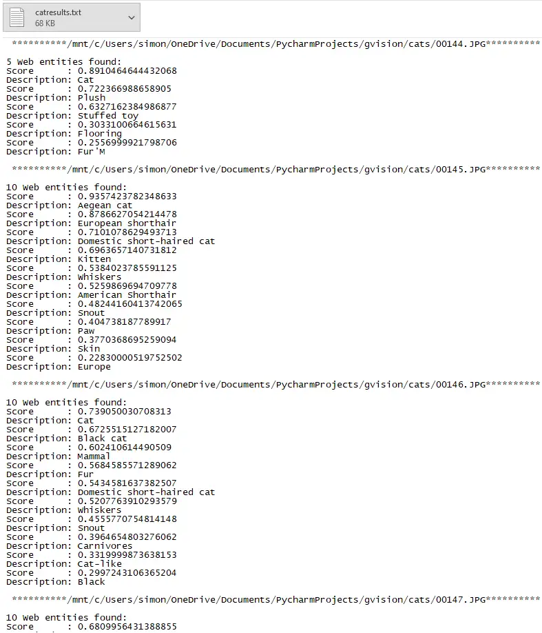 Screenshot of the txt file generated after running our cat images through the Google Vision API