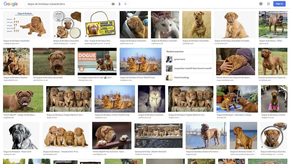 Image search for the target keyword.